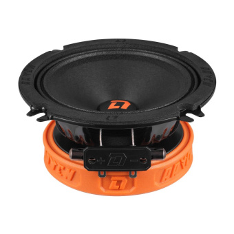 DL AUDIO Raven 130 Акустика эстрадная (1-полосная, 5", 13см.)