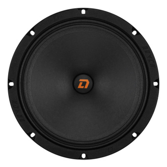 DL AUDIO Raven 200 Акустика эстрадная (1-полосная, 8", 20см.)