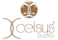 XCELSUS AUDIO 