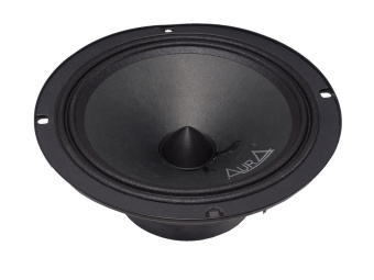 Эстрадная акустика Aura STORM-8