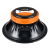DL AUDIO Raven 250 V.2  (1-полосная, 10", 25см.)