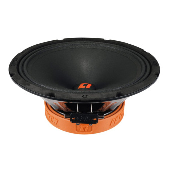 DL AUDIO Raven 250 Акустика эстрадная (1-полосная, 10", 25см.)