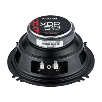 Avatar XBR-513