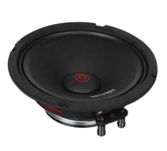 Ural АС-ПТ165 ПАТРИОТ Элемент(120 w RMS) Акустика